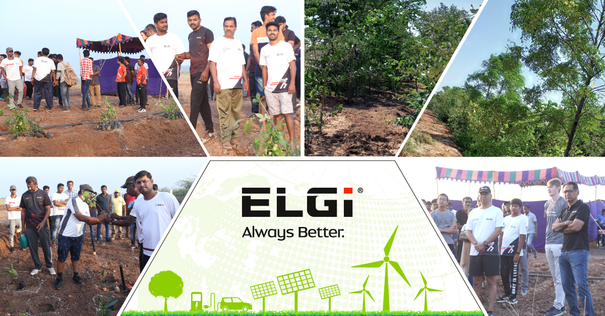 Learn more about ELGi’s afforestation efforts to promote greener environment using the Miyawaki Technique