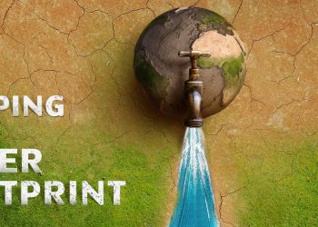 Water Management and the global water crisis